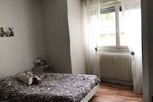 Location appartement 2 pièces 53 m2 - Strasbourg