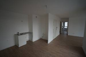 Location faches thulmesnil - appartement - t4 pinel