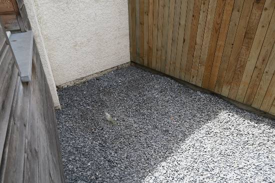 Location appartement t1 avec terrasse - Tourcoing