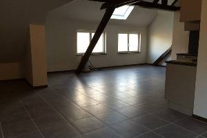 Location  appartement 3/4 pièces à hersbach - wisches