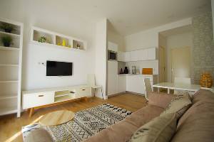 Location appartement, 34 m2, 2 pièces, 1 chambre - appartement meuble 2 pieces nice port
