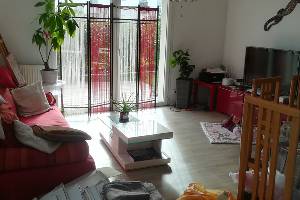 Location appartement t3 avec jardin carbon blanc (33560)
