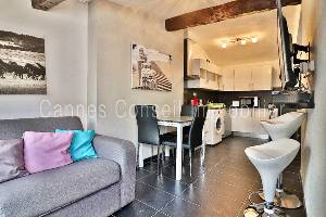Location appartement, 38 m2, 3 pièces, 2 chambres - cannes rue meynadier - 3p toit-terrasse