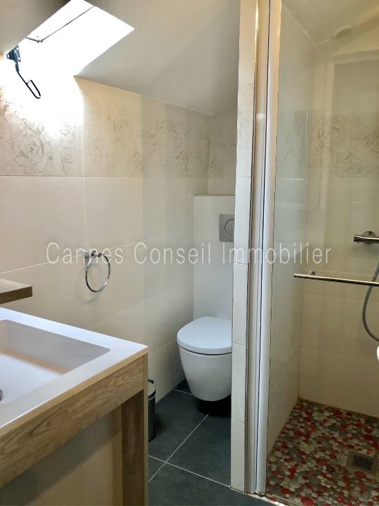 Location appartement, 38 m2, 3 pièces, 2 chambres - cannes rue meynadier - 3p toit-terrasse