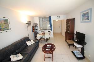 Location appartement, 43 m2, 2 pièces, 1 chambre - appartement-2p-terasse-au calme