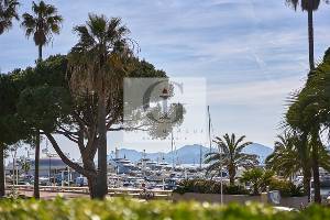 Location   - Cannes
