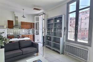 Location appartement, 33 m2, 2 pièces, 1 chambre - 2p terrasse