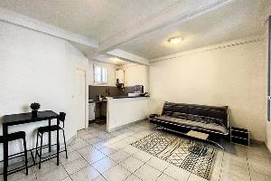 Location appartement, 25 m2, 1 pièces - location meublée / parc imperial